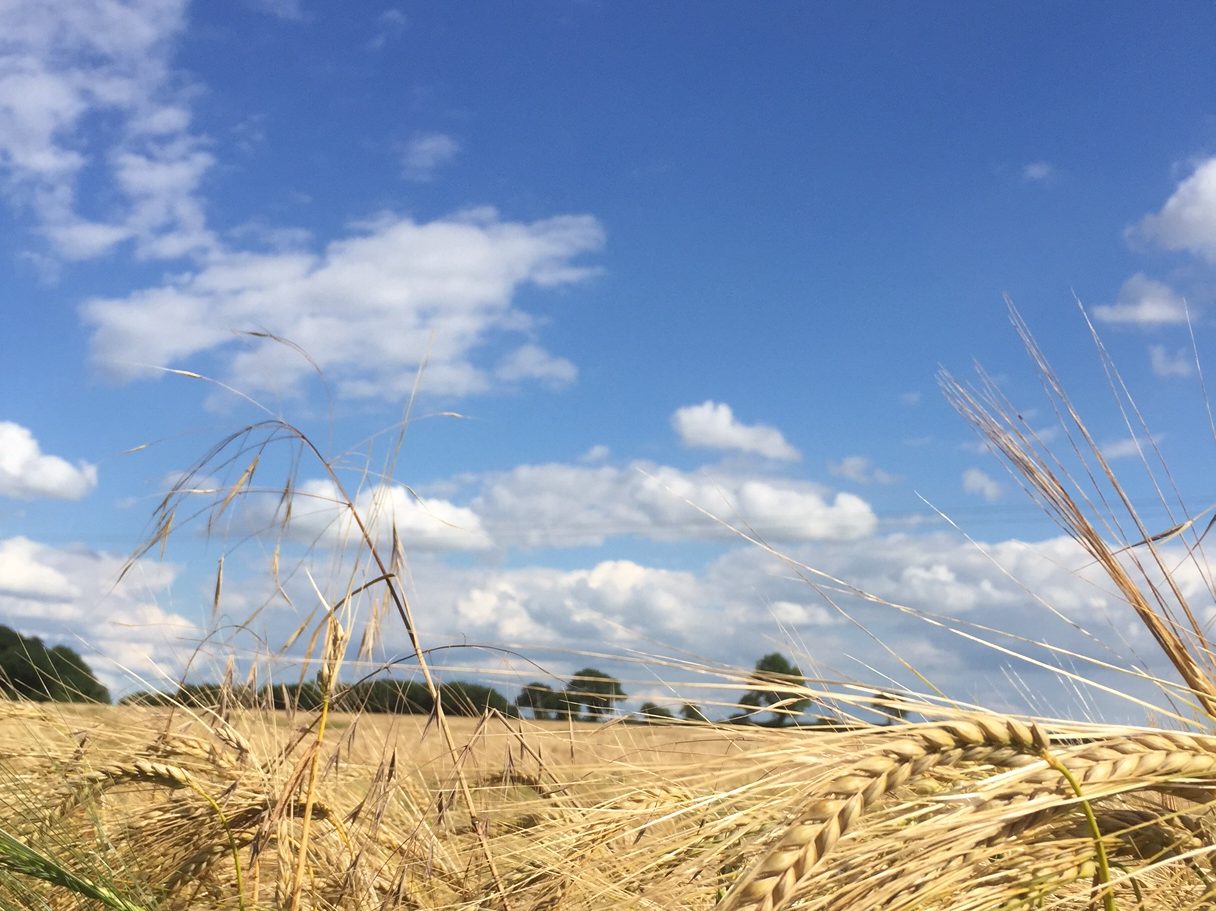 Hello this is Wymondham calling